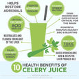 Celery Juice Box - Juice Institute