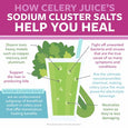 Celery Juice Box - Juice Institute