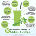 30 Day Celery Juice Challenge with collection - Juice Institute