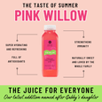 Pink Willow Box - Juice Institute